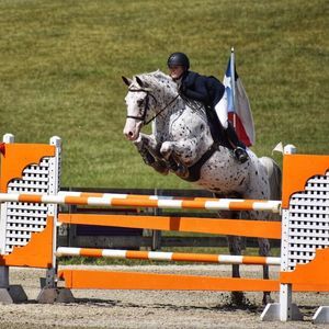 Meet your Posher, Victoria